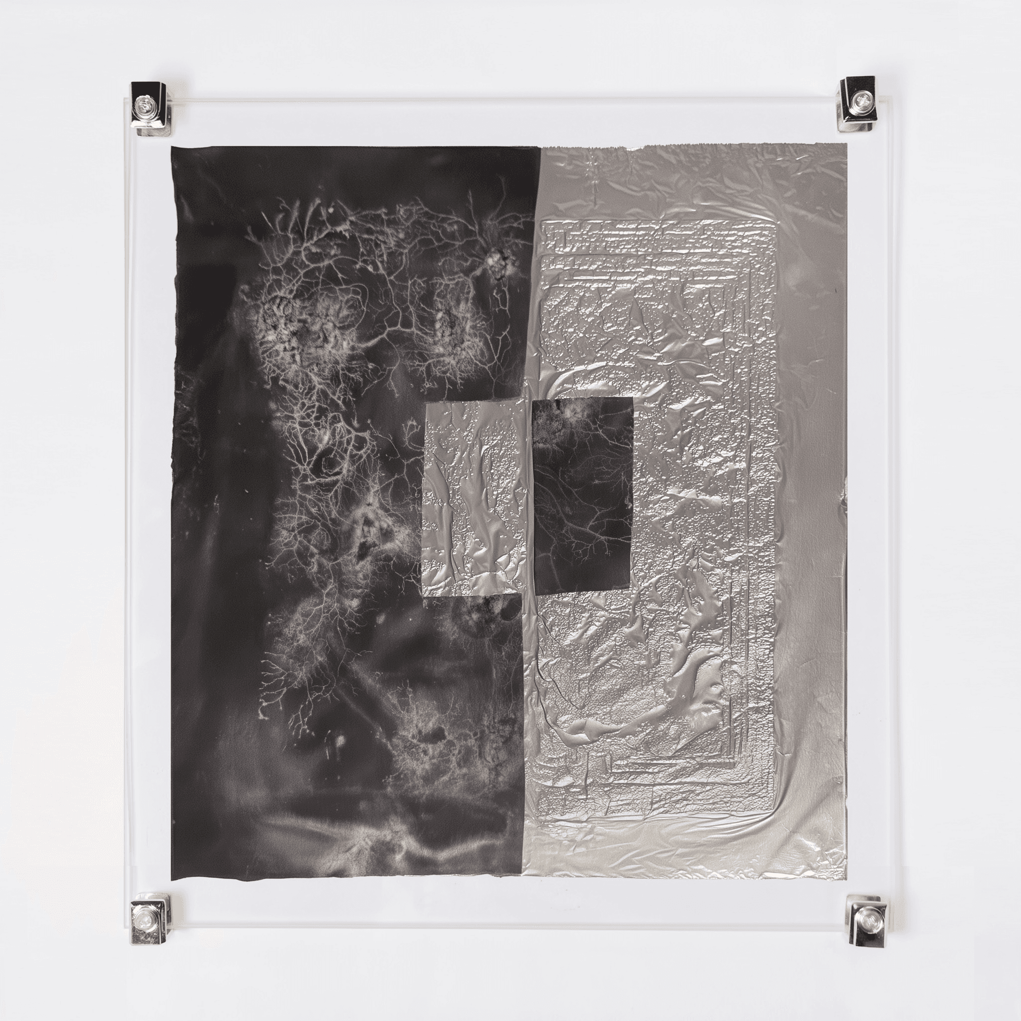 Biosphere 2: foil and slime mold